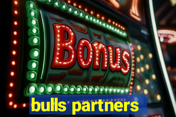 bulls partners